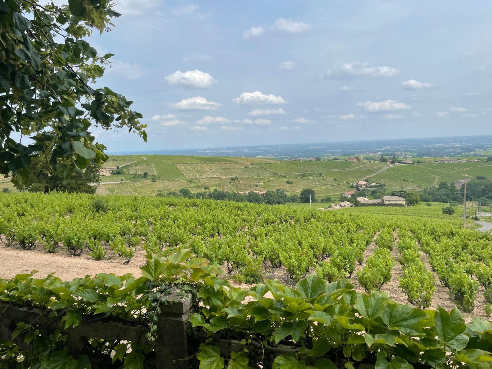 Roulotte Et Gite De Chiroubles Buitenkant foto